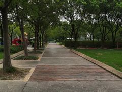-新江湾城公园