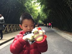 景点-成都大熊猫繁育研究基地