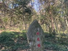 -上海佘山国家森林公园天马山园