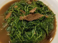 -同济大酒店(绿宝广场店)
