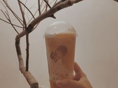 多肉芒芒甘露MAX-喜茶(深圳海岸城店)