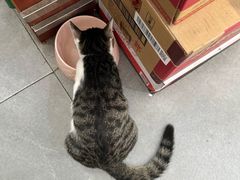 -李氏东北饺子王·铁锅炖(回龙湾店)