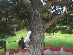 -延吉东来寺
