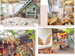 一楼-喵屿·大理花园猫咖