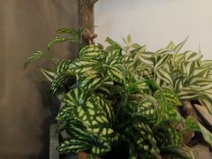 -湘当爱·鲜煮现炒(松岗立业路店)