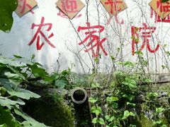 android_upload_pic-南窖乡水峪村山情农家