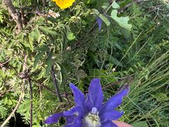 -白草畔自然风景区