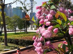 -北外滩滨江绿地