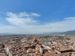 -圣母百花大教堂穹顶