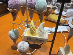 -野人先生现做冰淇淋(北京环宇荟店)