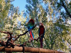 -北京野生动物园