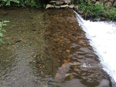 -宁波五龙潭景区