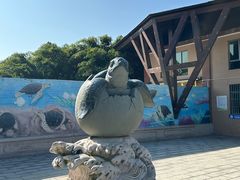-广东惠东海龟国家级自然保护区
