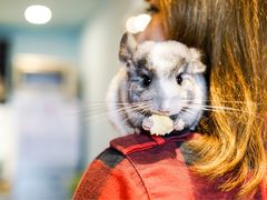 -藦茜花园宠物主题亲子互动体验馆(国顺东路店)