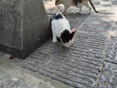 -宝通禅寺