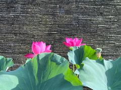 -悟空山宿陨石私汤温泉酒店(神舟大道地铁站店)