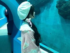-苏州海洋馆