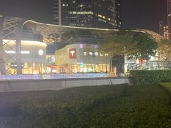 -TESLA 特斯拉(广州天环广场体验店)