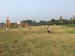 -紫颐香薰山谷景区