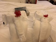 -三亚亚龙湾雅高铂尔曼别墅度假酒店