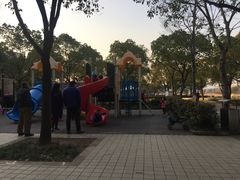 -新江湾城公园