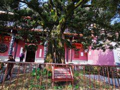 -岳麓山风景名胜区