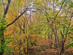 -三块石国家森林公园