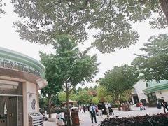 -喜茶(迪士尼小镇DP店)