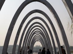 -大兴滨河森林公园