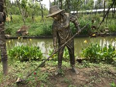 -上海长兴岛郊野公园