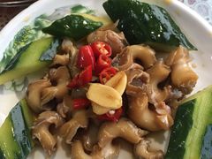 -卢记平价海鲜大排档(财智广场·星河苑店)