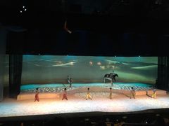 -cavalia·舞马
