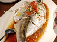 -丹江渔村(望京店)