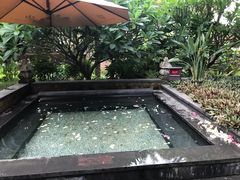 -厦门日月谷温泉渡假村