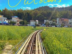 -红山村