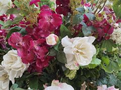 -上海安亭别墅花园酒店