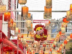 -越秀西湖花市(广州城市广场花卉店)