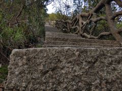 -梧桐山风景名胜区