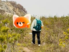 -迪卡侬(南二环店)