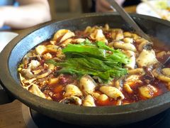 -都江堰石锅鱼