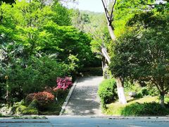 -南山风景名胜区