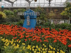 -南宫五洲植物乐园