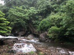 -东天目山风景区