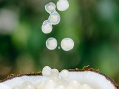 -蔻蔻椰·鲜萃椰子水(COCO Park店)
