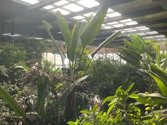 -大鹅岛绿色生态美食园