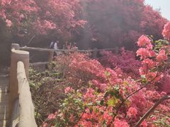 -木兰云雾山