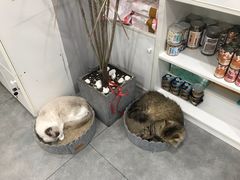 -极木²邸 人与宠物·互动社区