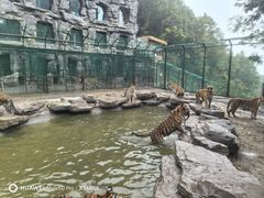 -栾川竹海野生动物园