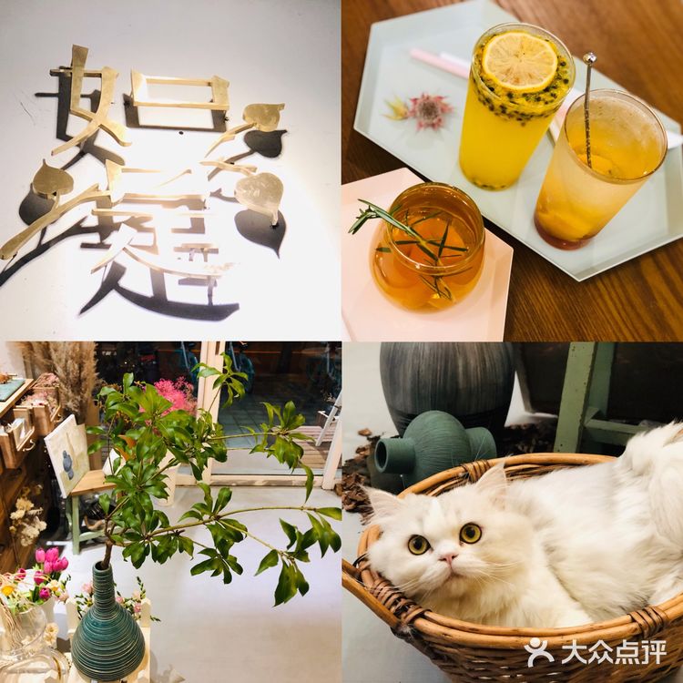 店内的小猫咪阿弥超级可爱~也很高冷
