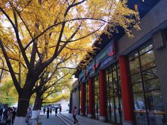 -四川大学(华西校区)